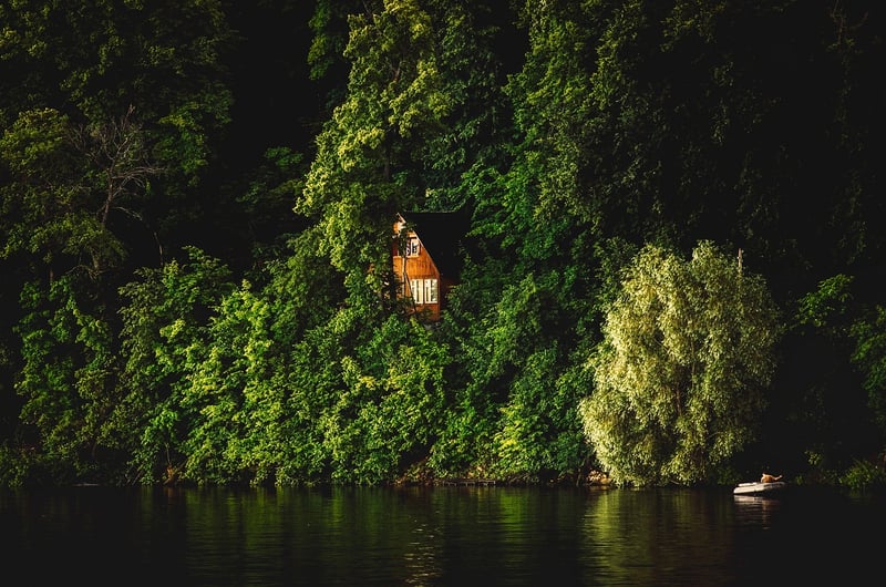 Forest Hideaways