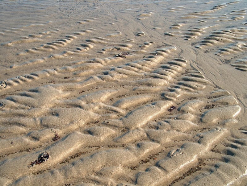 Maui Beach