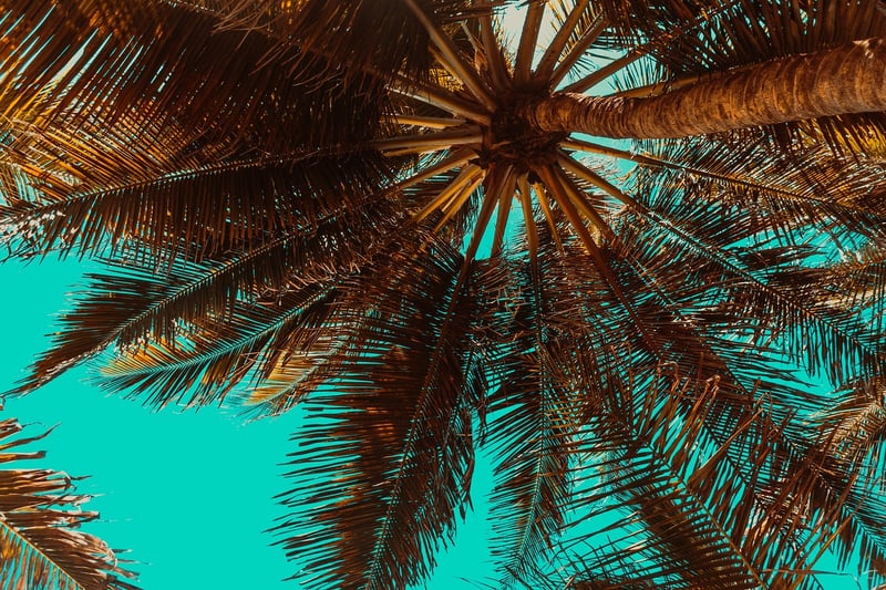 Maldives, Indian Ocean